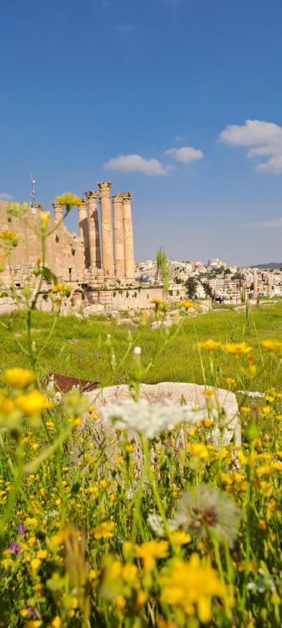 Cardostudio Hotel Jarash Exterior foto